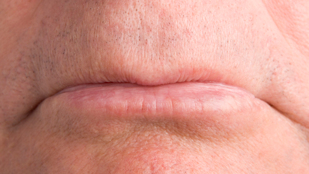 Illustration for article titled Lips.